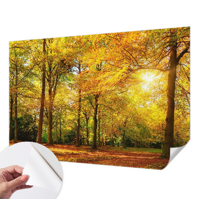 Papel de parede para criança Folhas douradas