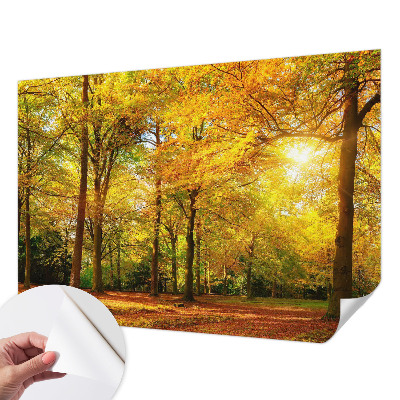 Papel de parede para criança Folhas douradas