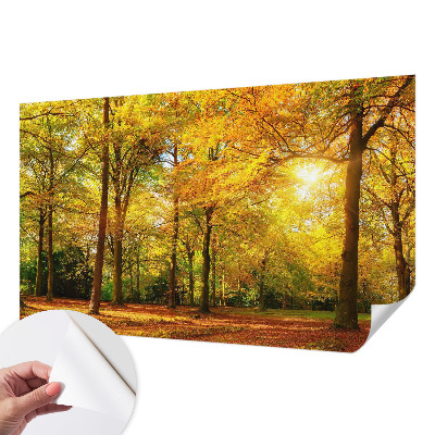 Papel de parede para criança Folhas douradas