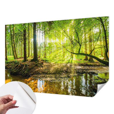Papel de parede autocolante para sala com paisagem verde