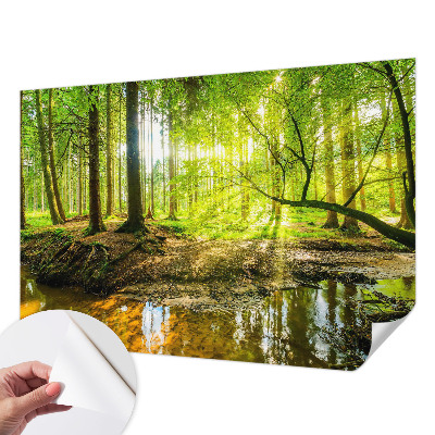 Papel de parede autocolante para sala Paisagem verde