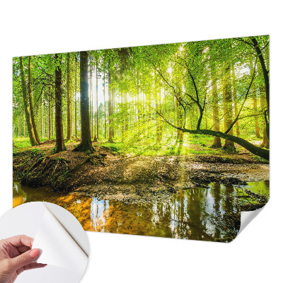 Papel de parede autocolante para sala com paisagem verde