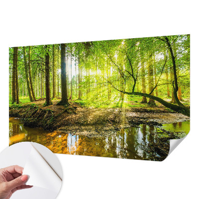 Papel de parede autocolante para sala com paisagem verde