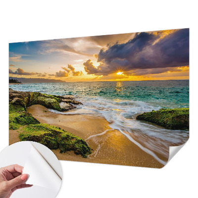 Papel de parede autocolante para quarto com estampa 'Harmonia marítima' para decoração de ambientes
