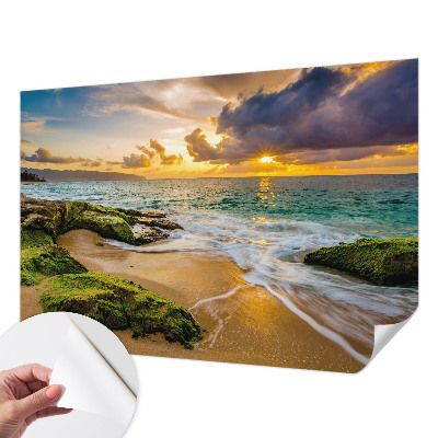 Papel de parede autocolante para quarto com estampa 'Harmonia marítima' para decoração de ambientes