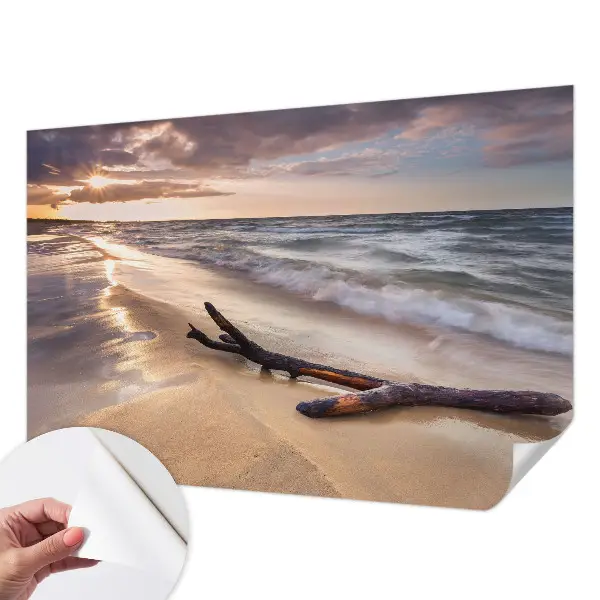 Papel de parede 3D com estampa Praia Oeste