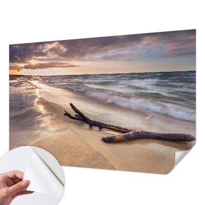 Papel de parede 3D com estampa Praia Oeste