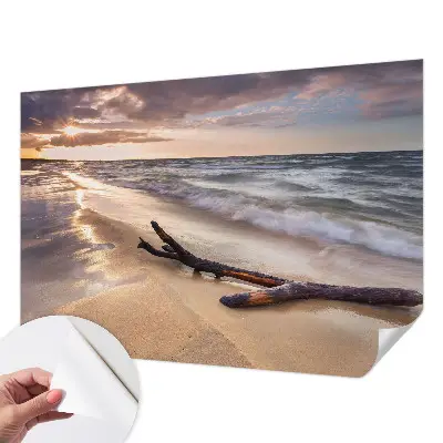 Papel de parede 3D com estampa Praia Oeste