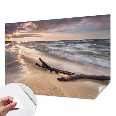 Papel de parede 3D com estampa Praia Oeste
