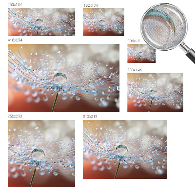 Papel de parede para criança Uma gota num dente-de-leão