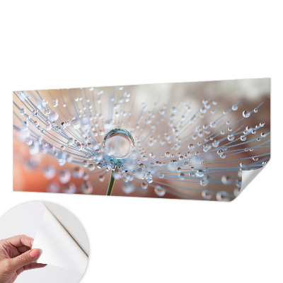 Papel de parede para criança Uma gota num dente-de-leão