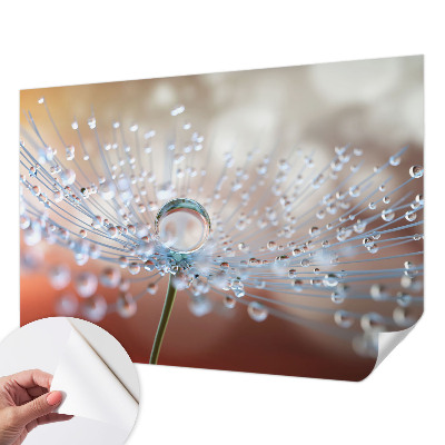 Papel de parede para criança com padrão “Uma gota num dente-de-leão”