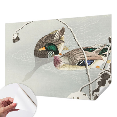 Papel de parede para criança Patos calmos