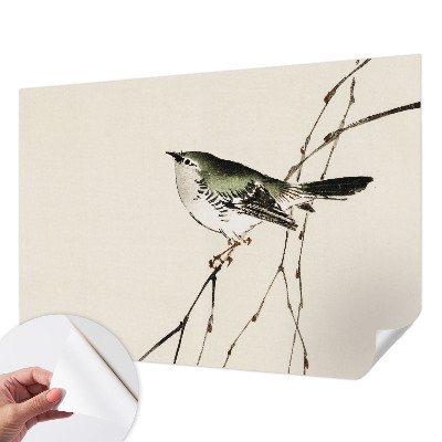 Papel de parede autocolante Pássaro harmonioso