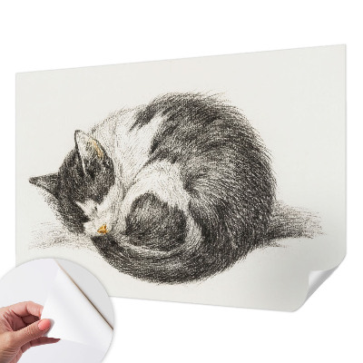 Papel de parede para criança com estampa de gatinho adorável