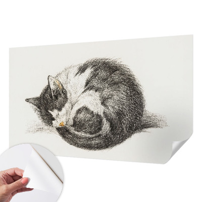 Papel de parede para criança com estampa de gatinho adorável