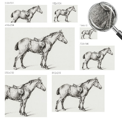 Papel de parede infantil Esboço de um cavalo