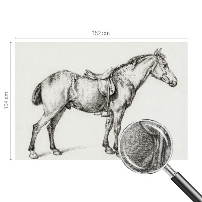Papel de parede infantil Esboço de um cavalo
