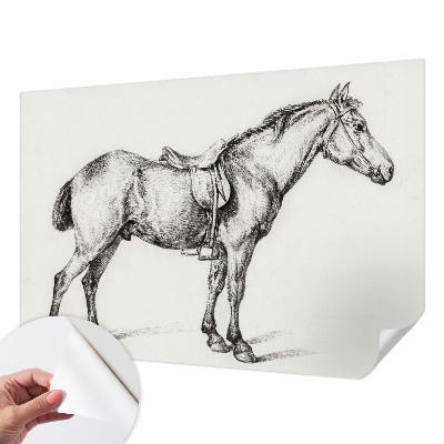 Papel de parede infantil Esboço de um cavalo
