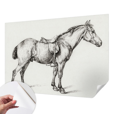 Papel de parede infantil Esboço de um cavalo