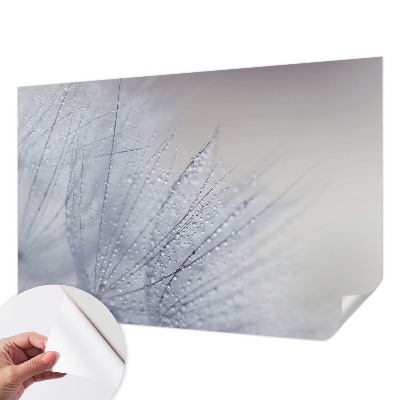 Papel de parede autocolante com estampa de dente-de-leão orvalhado