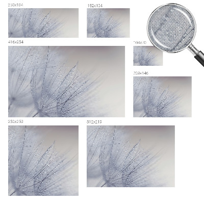 Papel de parede autocolante Dente-de-leão orvalhado