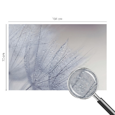 Papel de parede autocolante Dente-de-leão orvalhado