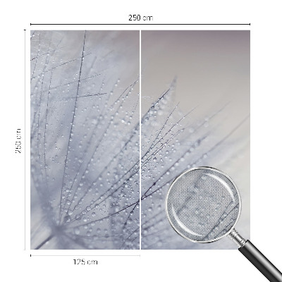 Papel de parede autocolante Dente-de-leão orvalhado