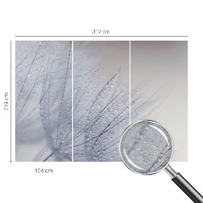 Papel de parede autocolante Dente-de-leão orvalhado