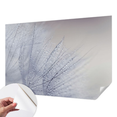 Papel de parede autocolante com estampa de dente-de-leão orvalhado