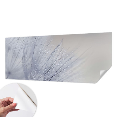 Papel de parede autocolante com estampa de dente-de-leão orvalhado