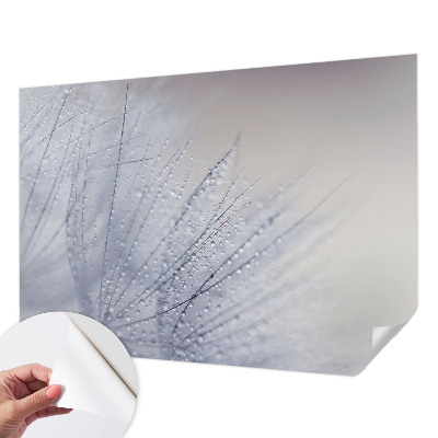 Papel de parede autocolante com estampa de dente-de-leão orvalhado