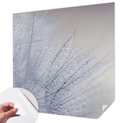 Papel de parede autocolante Dente-de-leão orvalhado