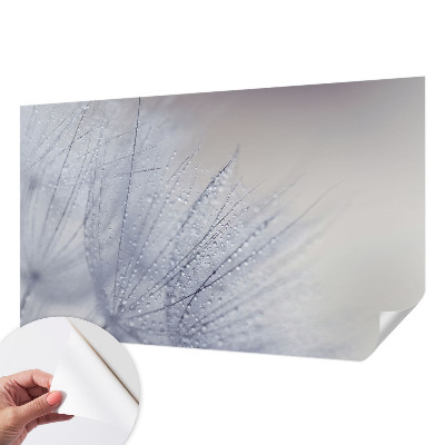 Papel de parede autocolante com estampa de dente-de-leão orvalhado