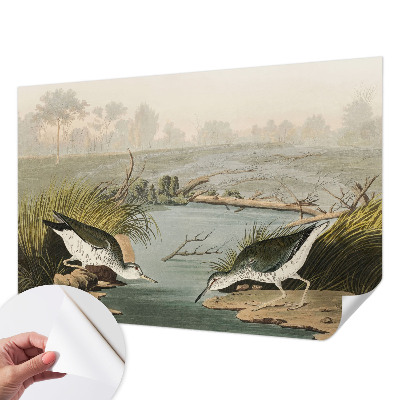 Autocolante de parede fotográfico Uma paisagem tranquila