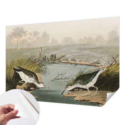 Autocolante de parede fotográfico Uma paisagem tranquila
