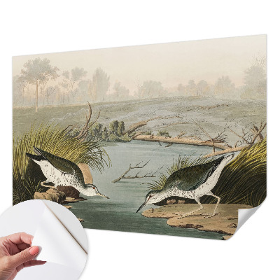 Autocolante de parede fotográfico Uma paisagem tranquila