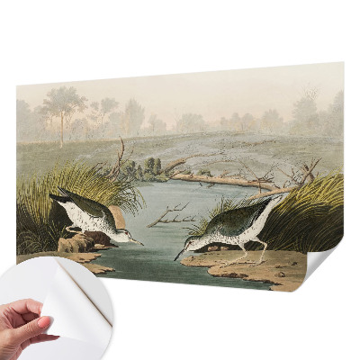 Autocolante de parede fotográfico Uma paisagem tranquila