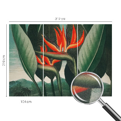 Papel de parede para criança Flores exóticas
