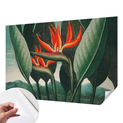 Papel de parede para criança Flores exóticas