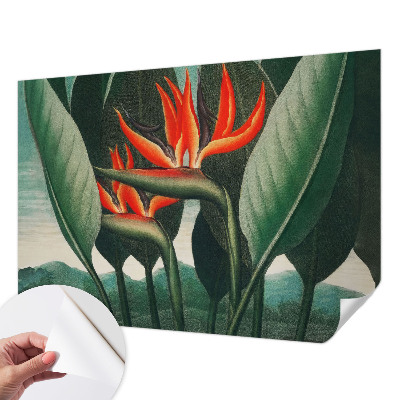Papel de parede para criança Flores exóticas