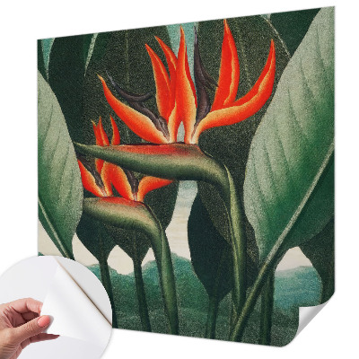 Papel de parede para criança Flores exóticas