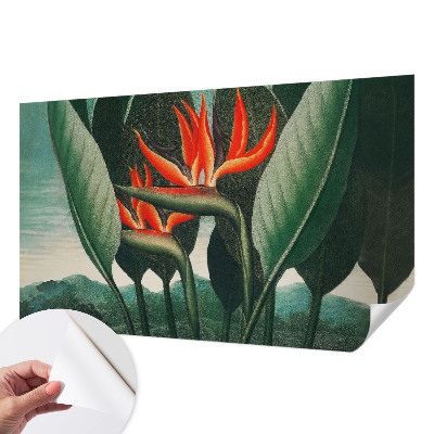 Papel de parede para criança Flores exóticas