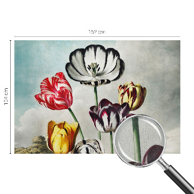 Papel de parede autocolante Tulipas coloridas