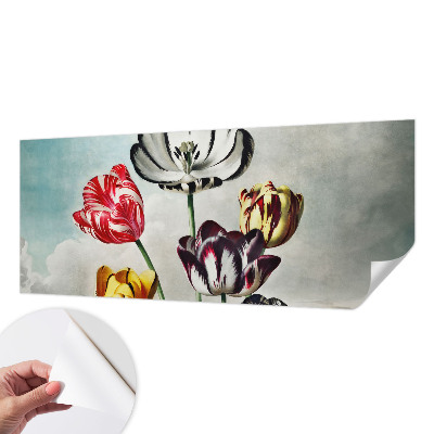 Papel de parede autocolante Tulipas coloridas