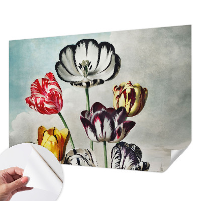 Papel de parede autocolante Tulipas coloridas