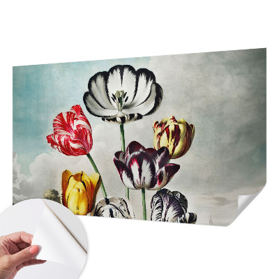 Papel de parede autocolante Tulipas coloridas