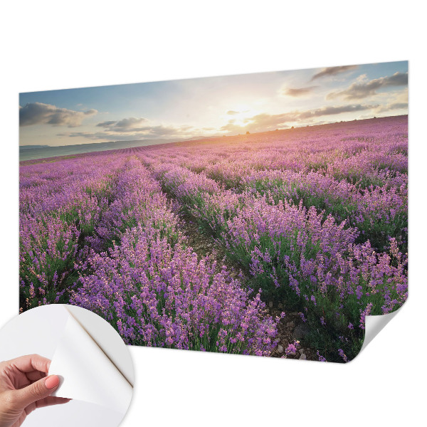 Papel de parede para criança campos de lavanda