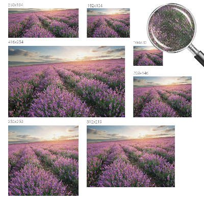 Papel de parede para criança campos de lavanda