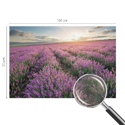 Papel de parede para criança campos de lavanda